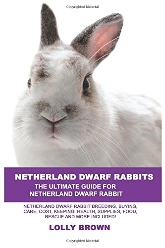 Netherland Dwarf Rabbits: Netherland Dwarf Rabbit Breeding, Buying, Care, Cost, Keeping, Health, Supplies, Food, Rescue and More Included! the Ultimate Guide for Netherland Dwarf Rabbits