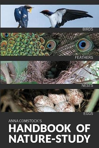 The Handbook Of Nature  - Study in Color  -  Birds