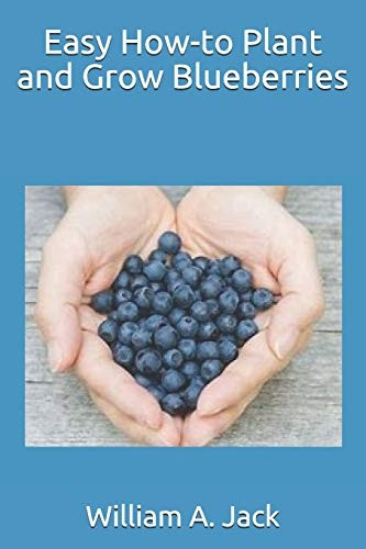 Easy How-To Plant and Grow Blueberries