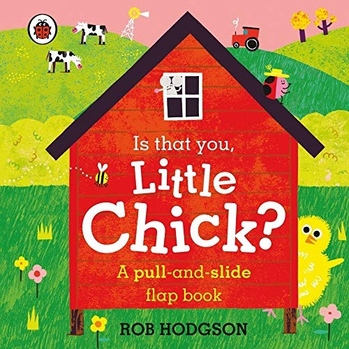 Is that you, Little Chick?: A pull-and-slide flap book [Board book]