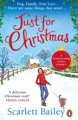 Just For Christmas: The most heart-warming festive romance of 2018
