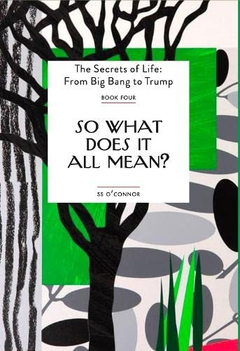 So What Does It All Mean? (The Secrets of Life : From Big Bang to Trump)