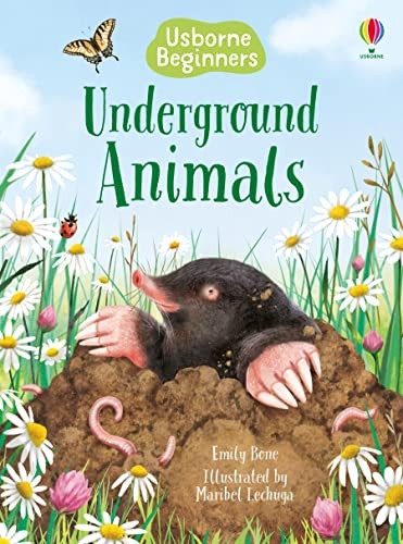 Underground Animals (Beginners)