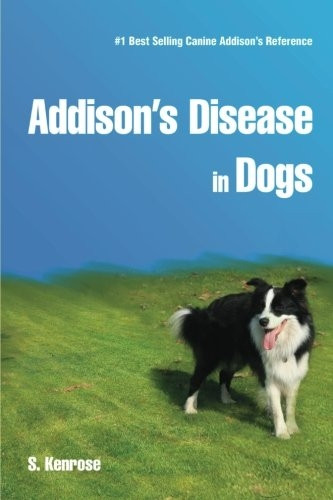 Addison's Disease in Dogs