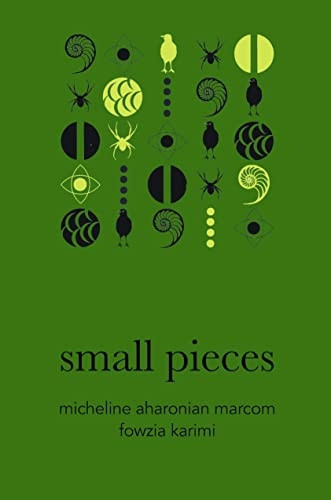 Small Pieces (American Literature Series)