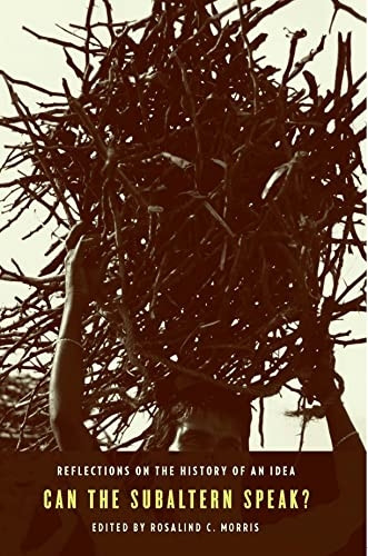 Can the Subaltern Speak?: Reflections on the History of an Idea