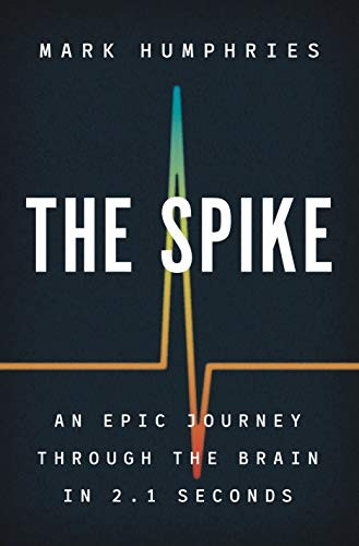 The Spike: An Epic Journey -  Through the Brain in 2.1  - Seconds