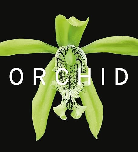 Orchid: Marie Selby Botanical Gardens