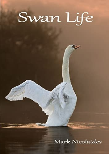 Swan Life