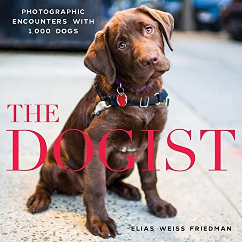 Dogist, The