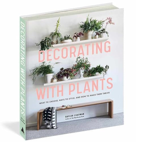 Decorating with Plants: What to Choose, Ways to Style, and How to Make Them Thrive