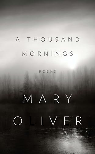 A Thousand Mornings