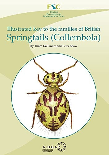 Illustrated Key to the Families of British Springtails (Collembola) (Chart)