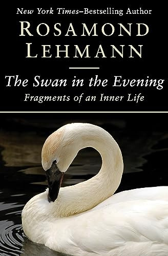 The Swan in the Evening