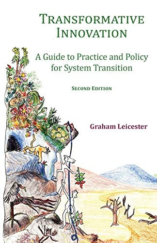 Transformative Innovation: A Guide to Practice and Policy for System Transition: 2020