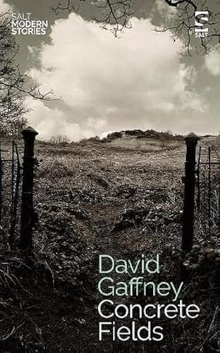 Concrete Fields (Salt Modern Stories)