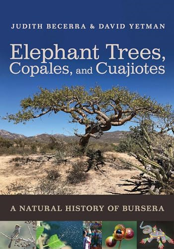 Elephant Trees, Copales, and Cuajiotes: A Natural History of Bursera