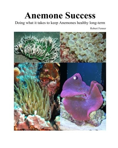 Success with Anemones: Doing What It Takes to Keep Anemones Healthy Long-Term
