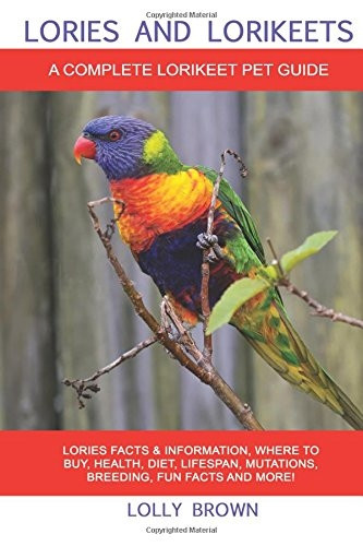 Lories and Lorikeets: Lories Facts & Information, where to buy, health, diet, lifespan, mutations, breeding, fun facts and more! A Complete Lorikeet Pet Guide