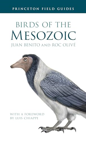 Birds of the Mesozoic  (Princeton Field Guides)