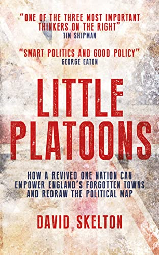 Little Platoons: How a revived One Nation can empower England's forgotten towns and redraw the political map