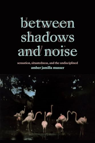 Between Shadows and Noise: Sensation, Situatedness, and the Undisciplined