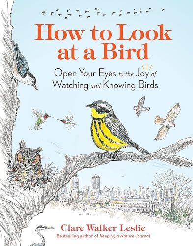 How to Look at a Bird: Open Your Eyes to the Joy of Watching and Knowing Birds