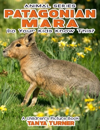 PATAGONIAN MARA Do Your Kids Know This?: A Children's Picture Book