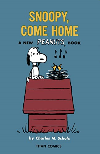Peanuts: Sunday's Fun Day,  - Charlie Brown