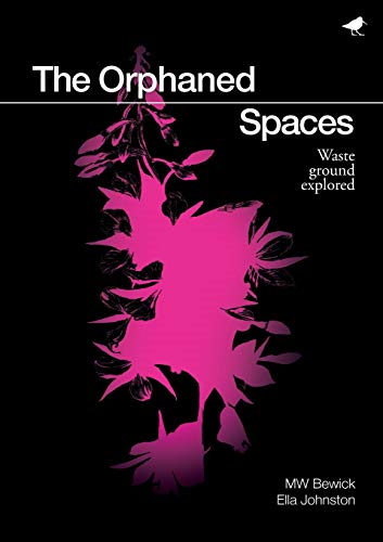 The Orphaned Spaces:  - Exploring Waste Ground