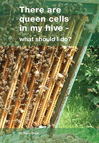 There are queen cells in my hive: - what should I do?