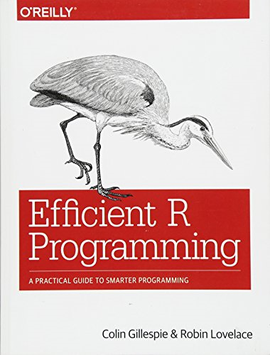 Efficient R Programming: A Practical Guide to Smarter Programming