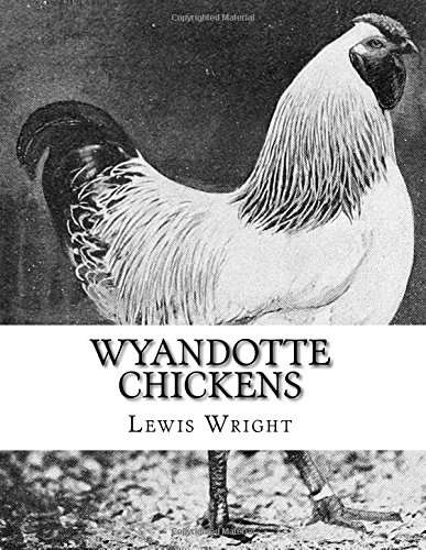 Wyandotte Chickens: From the Book of Poultry