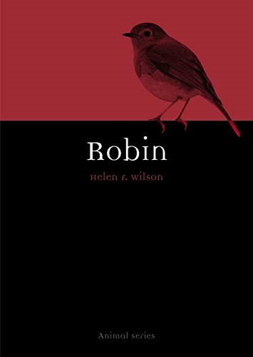 Robin (Animal)