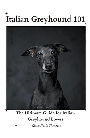 Italian Greyhound 101: The Ultimate Guide for Italian Greyhound Lovers