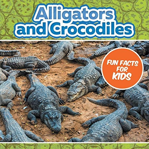 Alligators and Crocodiles  - Fun Facts For Kids