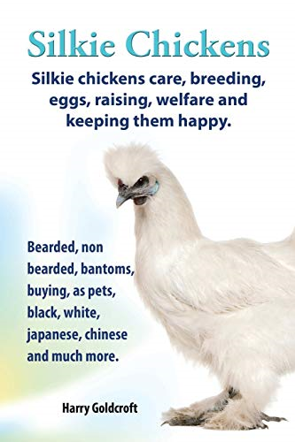 Silkie Chickens Care,  - Breeding, Eggs, Raising,  - Welfare and Keeping Them  - Happy: Bearded, Non  - Bearded, Bantoms, Buying,  - as Pets, Black, White,  - Japanese, Chinese and Much  - More