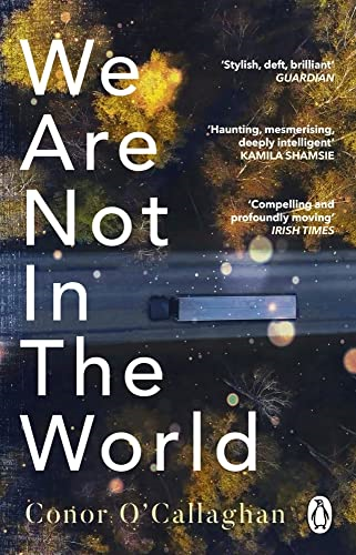 We Are Not in the World: 'compelling and profoundly moving' Irish Times