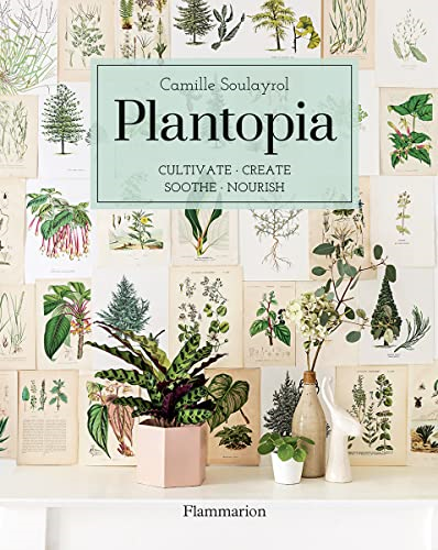 Plantopia: Joyful and Mindful Benefits of Bringing Plants Into the Home