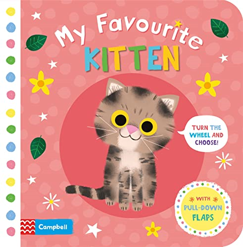My Favourite Kitten (My Favourite) [Board book]