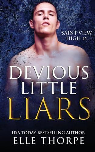 Devious Little Liars: A  - High School Bully Romance