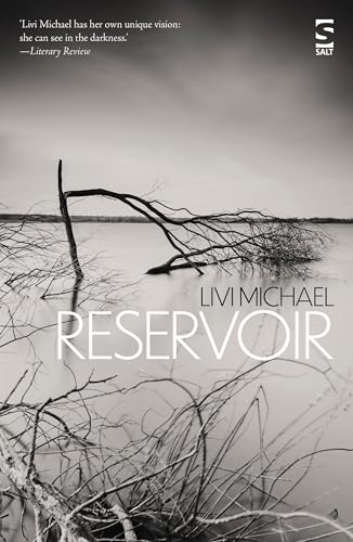 Reservoir (Salt Modern Fiction)