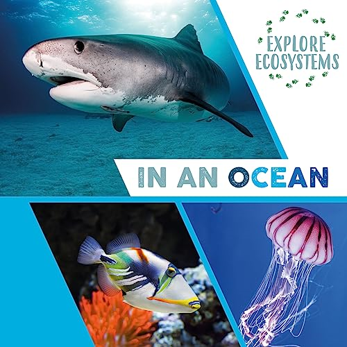 Explore Ecosystems: In an Ocean (Explore Ecosystems)