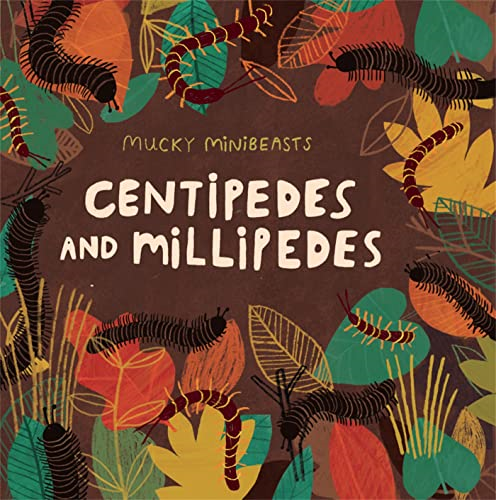 Centipedes and Millipedes - Mucky Minibeasts