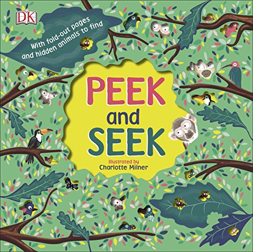 Peek and Seek [Board book]