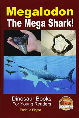 Megalodon - The Mega Shark!