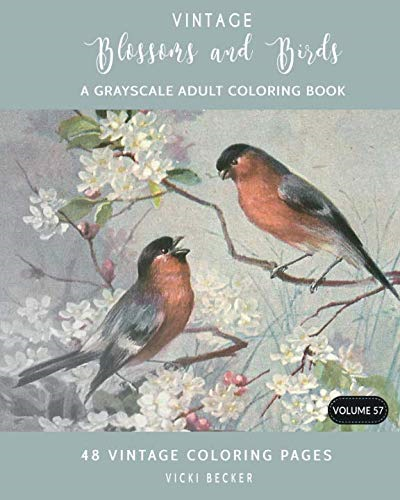 Vintage Blossoms and Birds: A Grayscale Adult Coloring Book