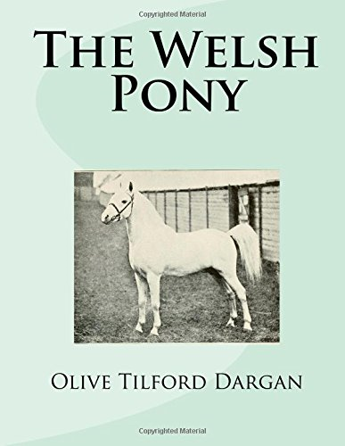 The Welsh Pony