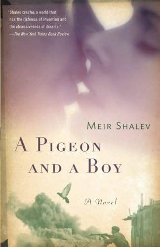 A Pigeon and a Boy