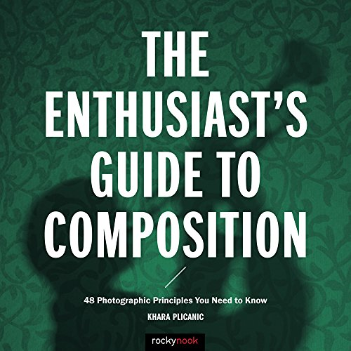 The Enthusiast's Gudie to Composition: 50 Photographic Principles You Need to Know (Paperback)